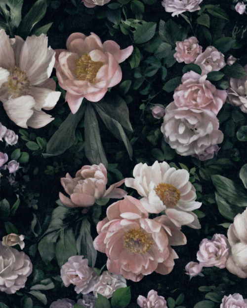 New Dawn Rose 7234